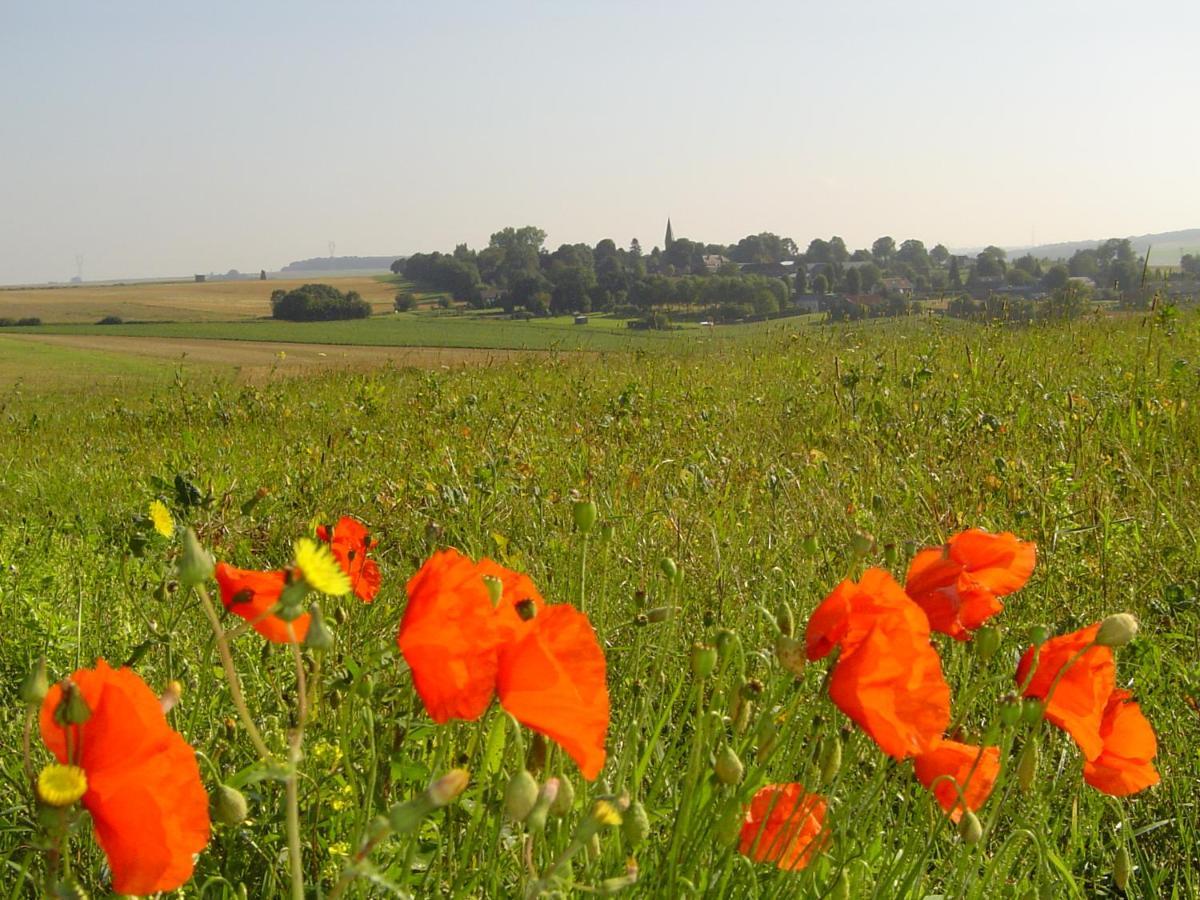 Vila Chavasse House, Chavasse Farm, Somme Hardecourt-aux-Bois Exteriér fotografie